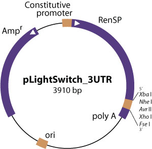 pLightSwitch_3UTR vector diagram