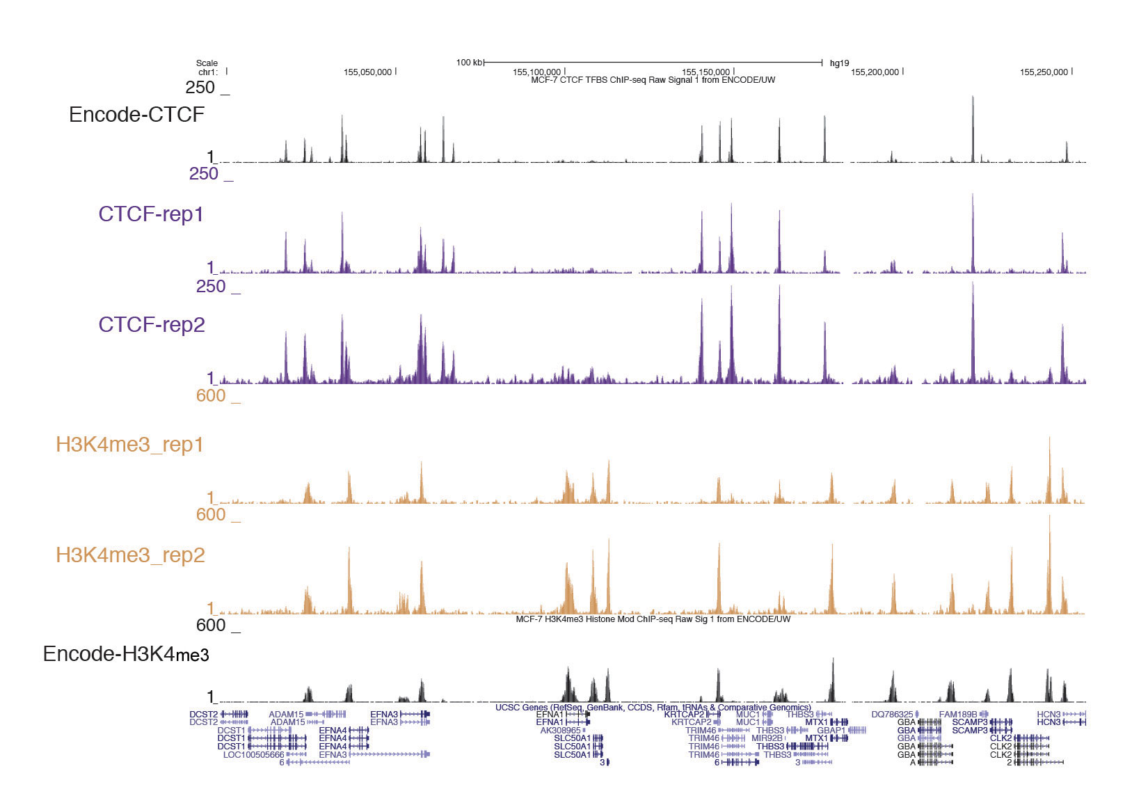 TAM-ChIP data for CTCF and Histone H3K4me3.