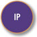 Immunoprecipitation Validated