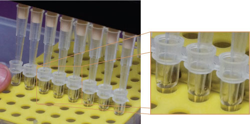 ChIP pipette
