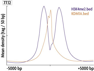 A graph depicting the relative occupancy of demethylase KDM1A and Histone H3 dimethyl Lys4 (H3K4me2) at the transcription start sites of all genes bound by these factors