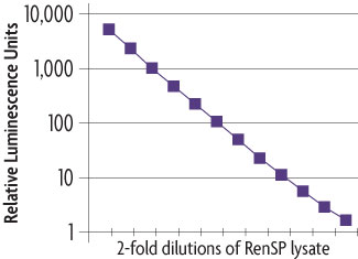 Graph showing the dynamic range of signal produced by measuring a dilution series prepared using the LightSwitch Luciferase Assay Kit