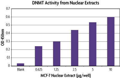 DNMT Activity / Inhibition Assay with MCF-7 nuclear extracts.