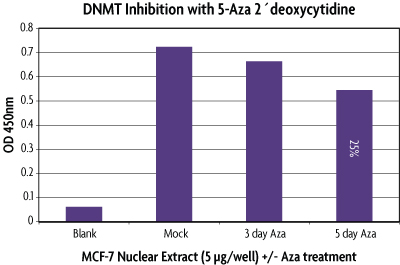 DNMT Activity / Inhibition Assay with MCF-7 nuclear extracts and 5-Aza 2'deoxycytidine treatment.