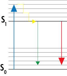Simplified Jablonski diagram of the STED method