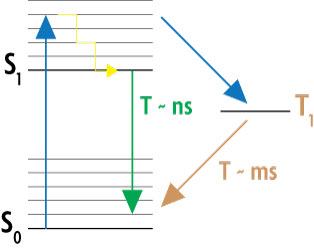 Simplified Jablonski diagram of the GSDIM method