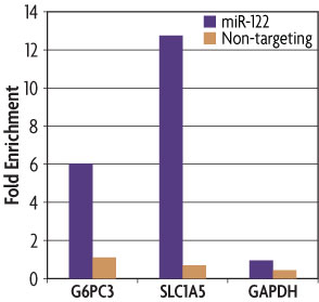 A graph of data generated with the miRNA Target IP Kit showing that G6PC3 and SLC1A5 are bound by miR-122 while GAPDH