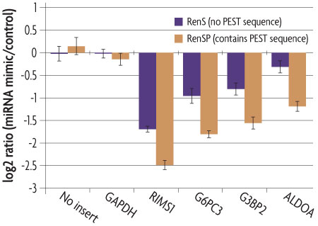 Graph comparing the relative brightness of active rensp compared to another humanized form renilla