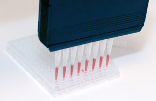 High-throughput ChIP with ChIP-IT Express