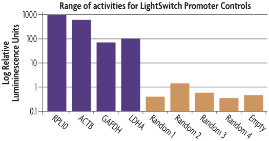 Diagram depicting the luciferase activity of the positive and negative LightSwitch Promoter Controls