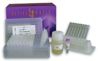 RapidTrans Competent Cells come complete with a tray of 96 tubes of cells, SOC media, supercoiled pUC19 DNA control and sterile reservoirs