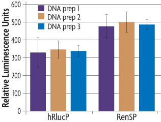 Graph comparing the relative brightness of active rensp compared to another humanized form renilla