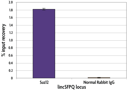 Real-time RT-PCR analysis of Suz12/normal rabbit IgG RNA-ChIP samples.