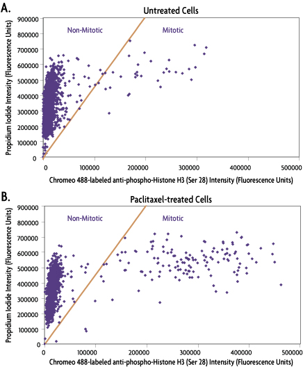 Exposure times of 488-excitable antibodies to reach equal fluorescence intensity