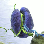 RNA Subcellular Isolation Kit