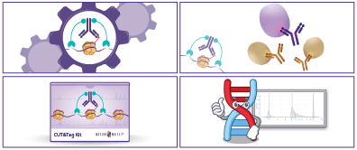 Various genetic charts and diagrams.