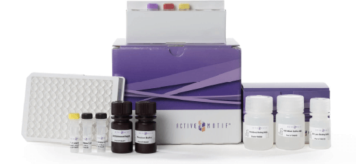 NRAS In-well Lysis ELISA Kit