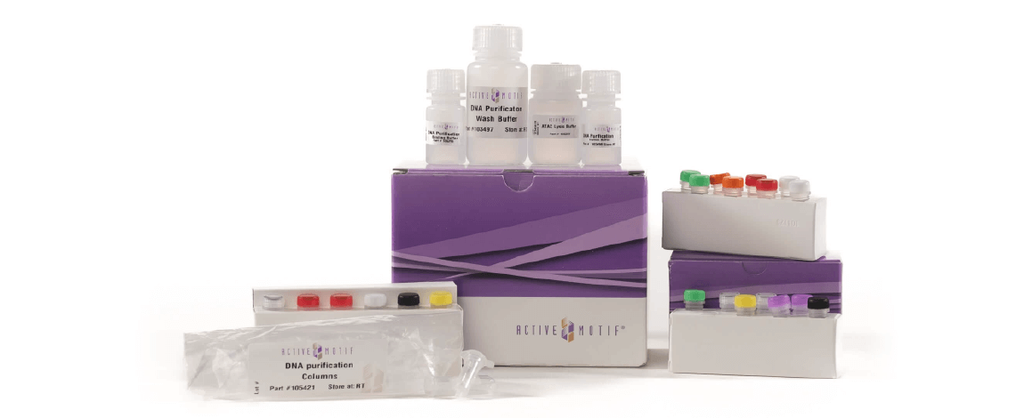 ATAC-Seq Kits by Active Motif