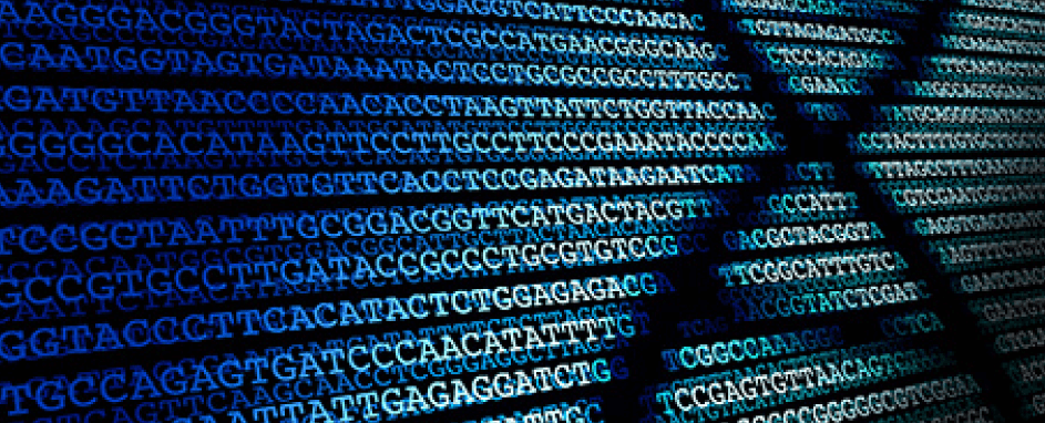 Transcriptional Regulation