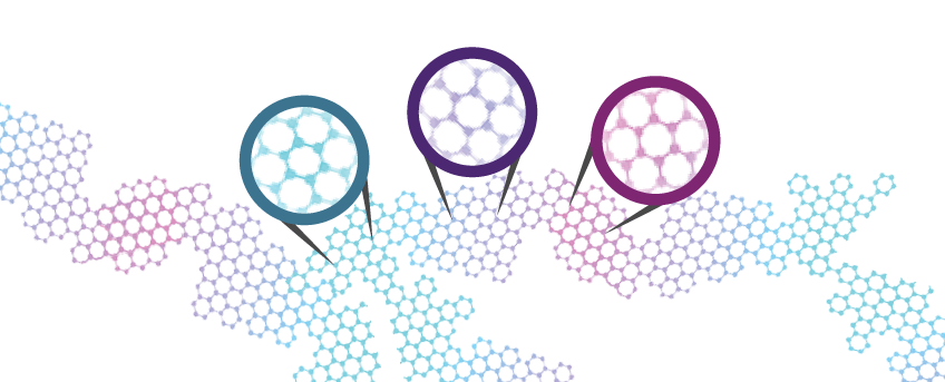 Transcriptional Regulation