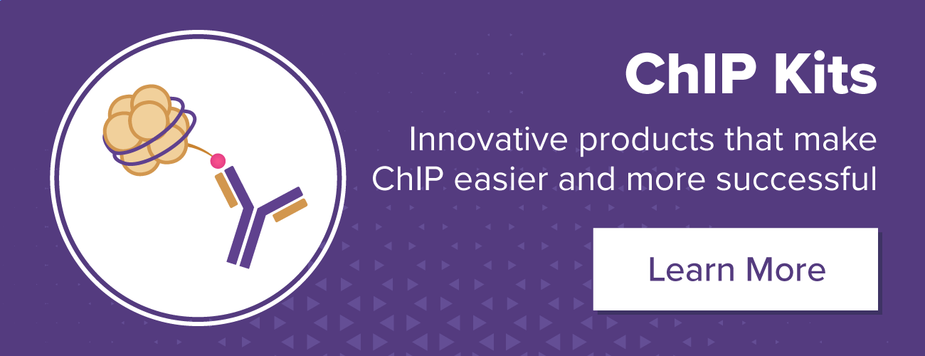Active Motif ChIP Kits