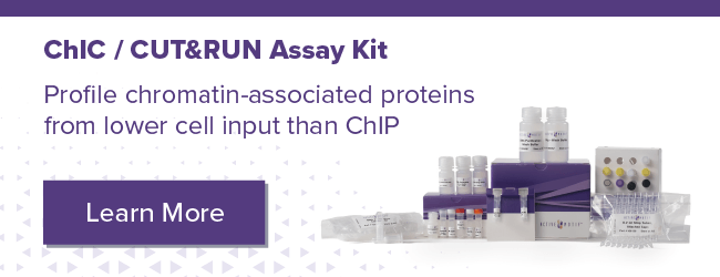 Active Motif CUT&RUN Kit