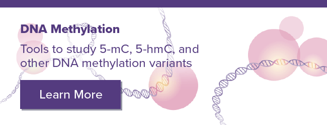 Active Motif DNA Methylation Products