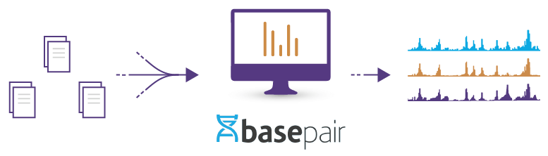 Active Motif’s Basepair Portal