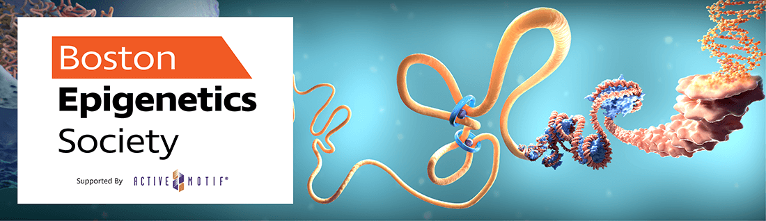 Boston Epigenetic Society Seminar Series