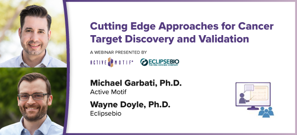Cutting Edge Approaches for Cancer Target Discovery and Validation