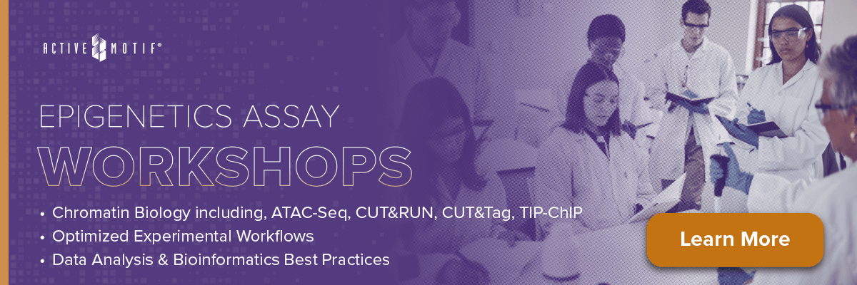 ATAC-Seq Workshops