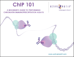 ChIP 101 eBook