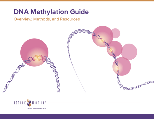 DNA Methylation Guide eBook