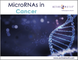microRNAs in Cancer eBook