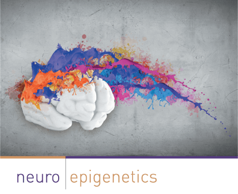 Neuroepigenetics eBook