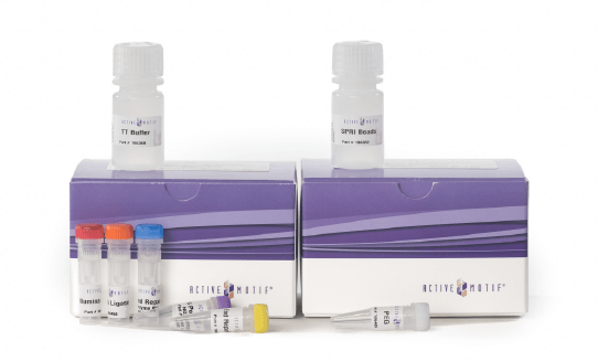 DNA Library Prep Kit for Illumina