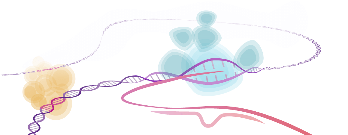 Transcriptional Regulation