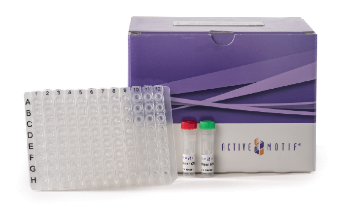 Active Motif Kit photo