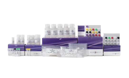 TIP-ChIP Assay Kit