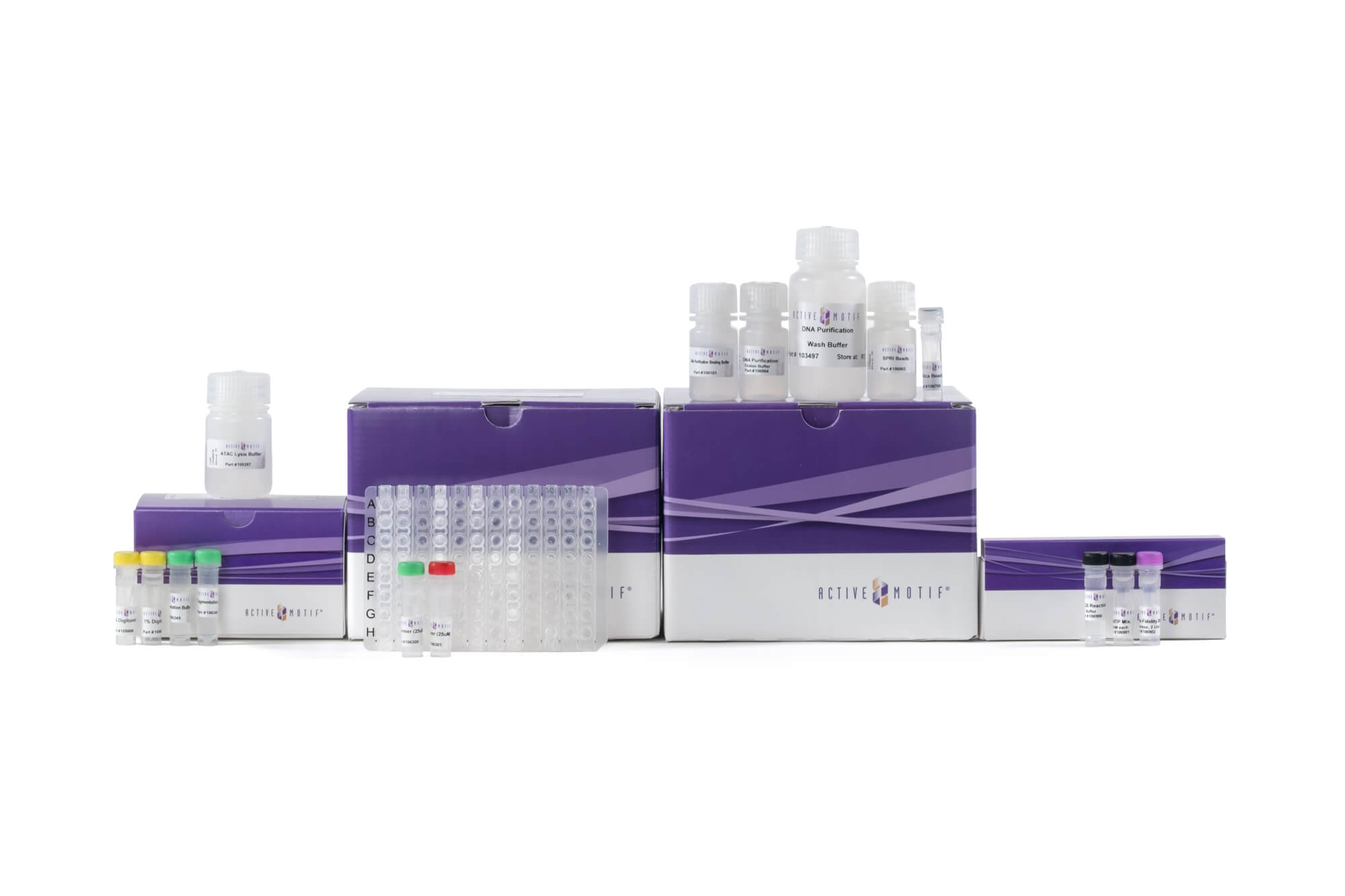High-Throughput ATAC-Seq Express Kit