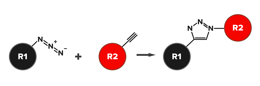 Figure 1: Principle of the click reaction between an azide (R1) and alkyne (R2).