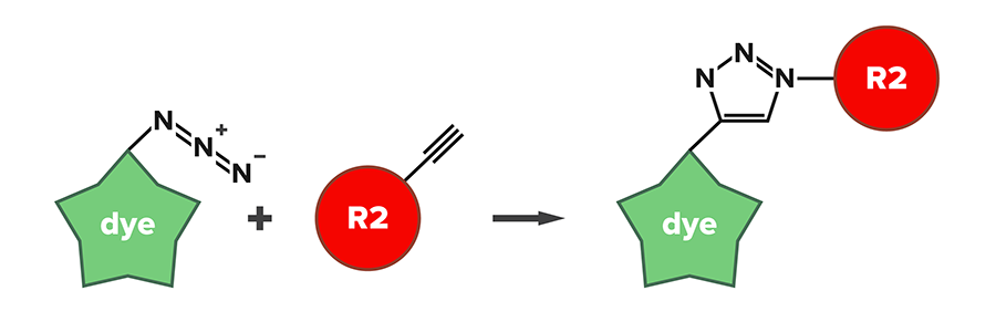 Figure 2: Click labeling with Chromeo Dye azides