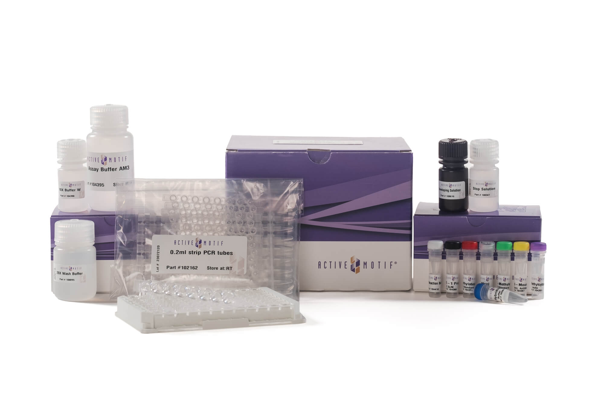 Global DNA Methylation Assay–LINE-1 Kit