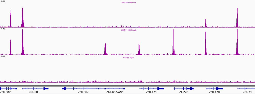 High Throughput ChIP-IT Kit Figure 1