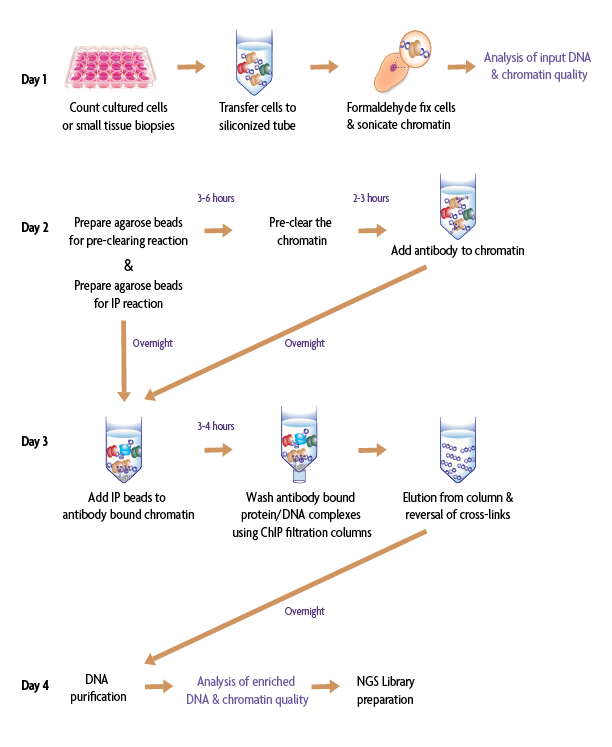 Low Cell Optimization Module Protocol