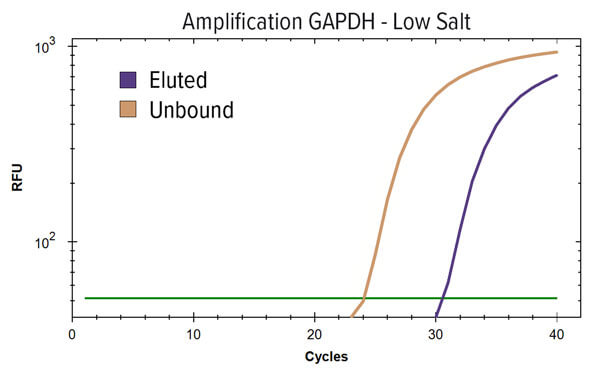 GAPDH low salt