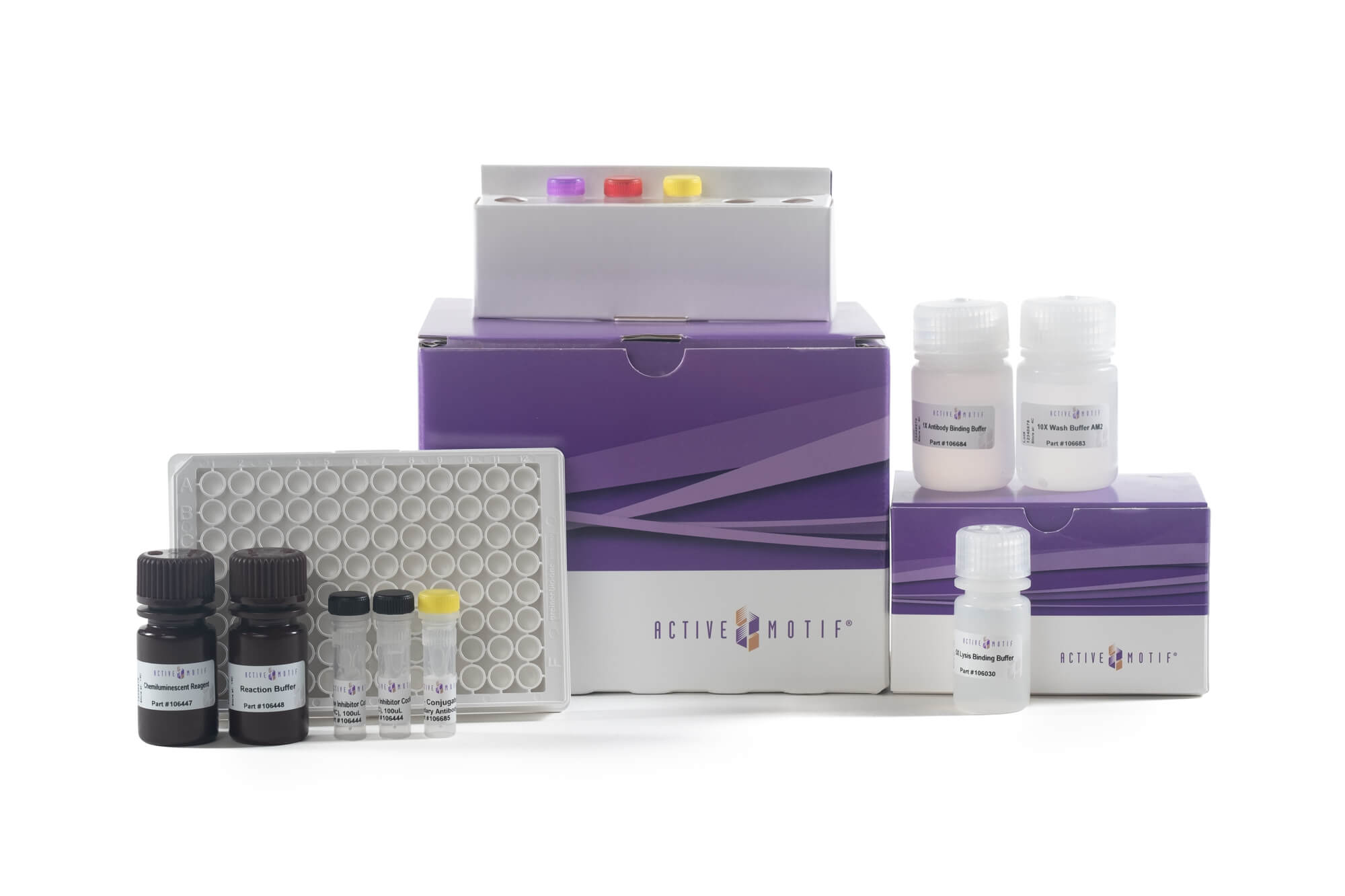 KRAS In-well Lysis ELISA Kit (1 plate)