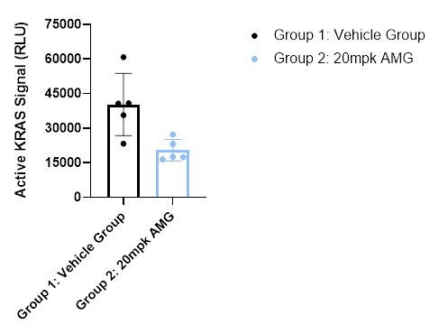 Detection of active KRAS in human tumor samples