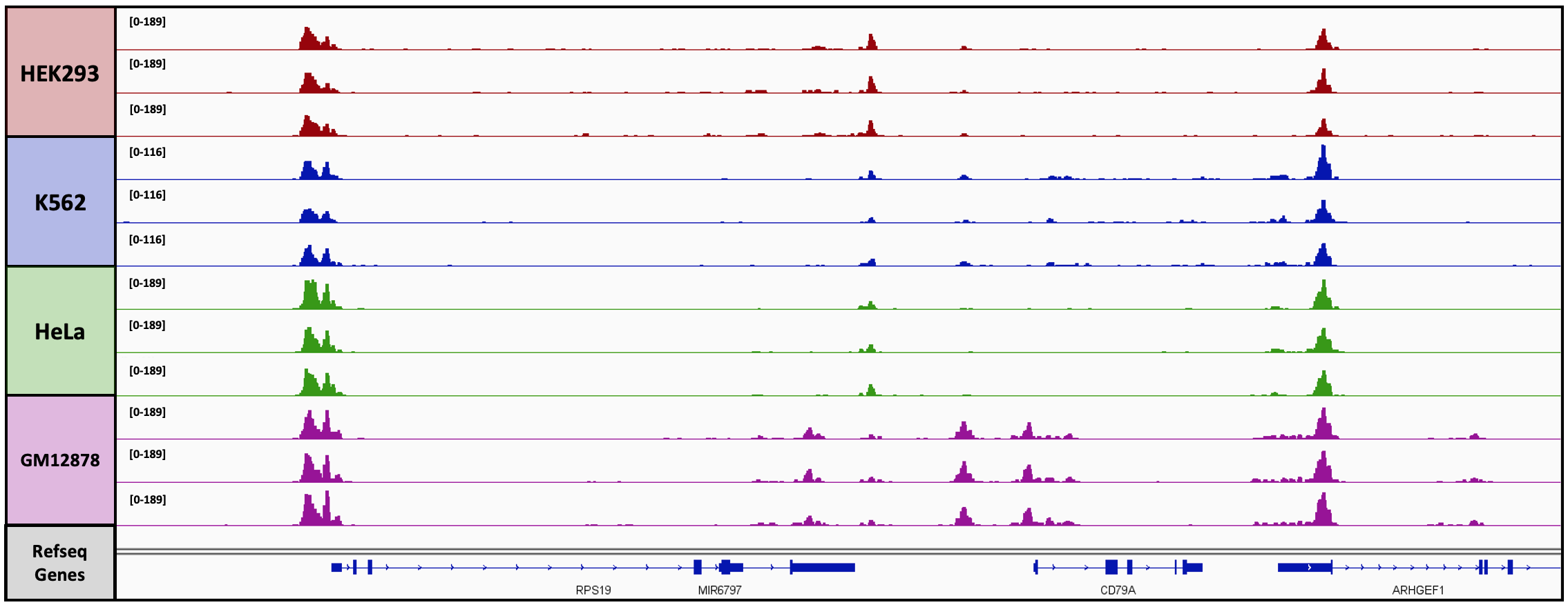 Pre-indexed Assembled Tn5 Transposomes are Compatible