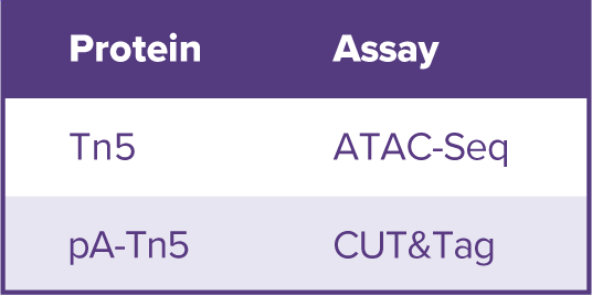 Tn5 and pA-Tn5 comparison table